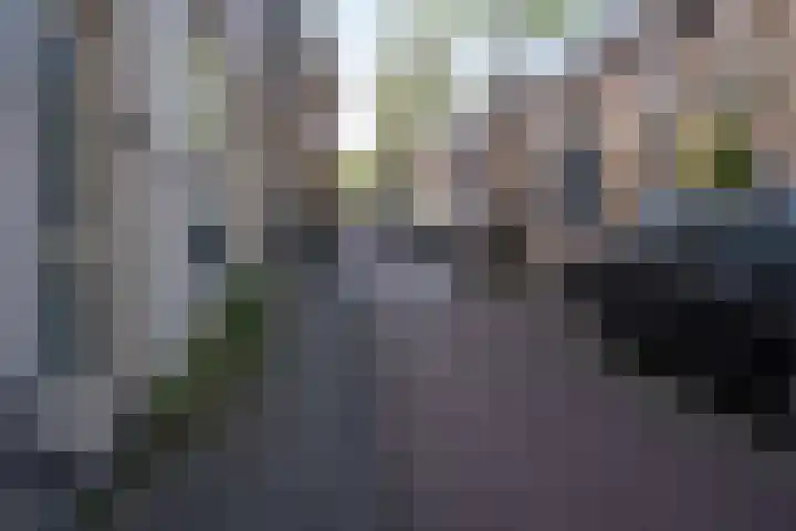 Lage Rijndijk 44 Leiden thumbnail 33