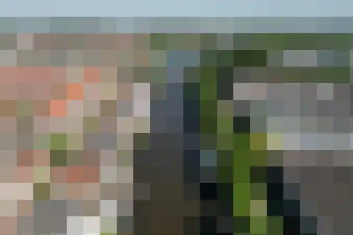 Lage Rijndijk 44 Leiden thumbnail 35
