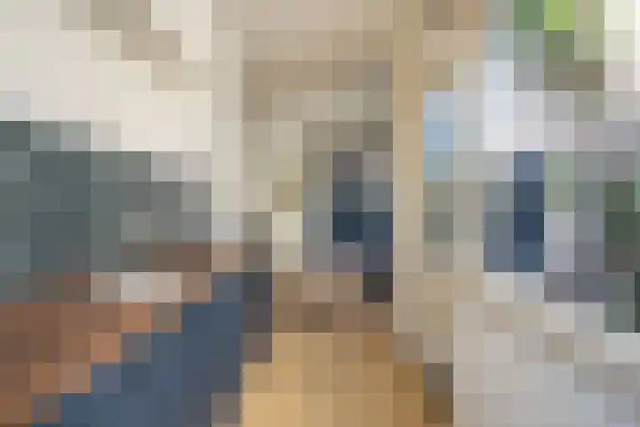 Lage Rijndijk 44 Leiden thumbnail 7