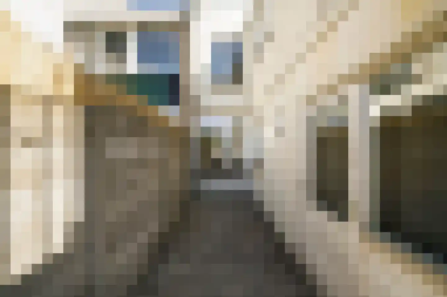 Lage Rijndijk 46 Leiden thumbnail 14