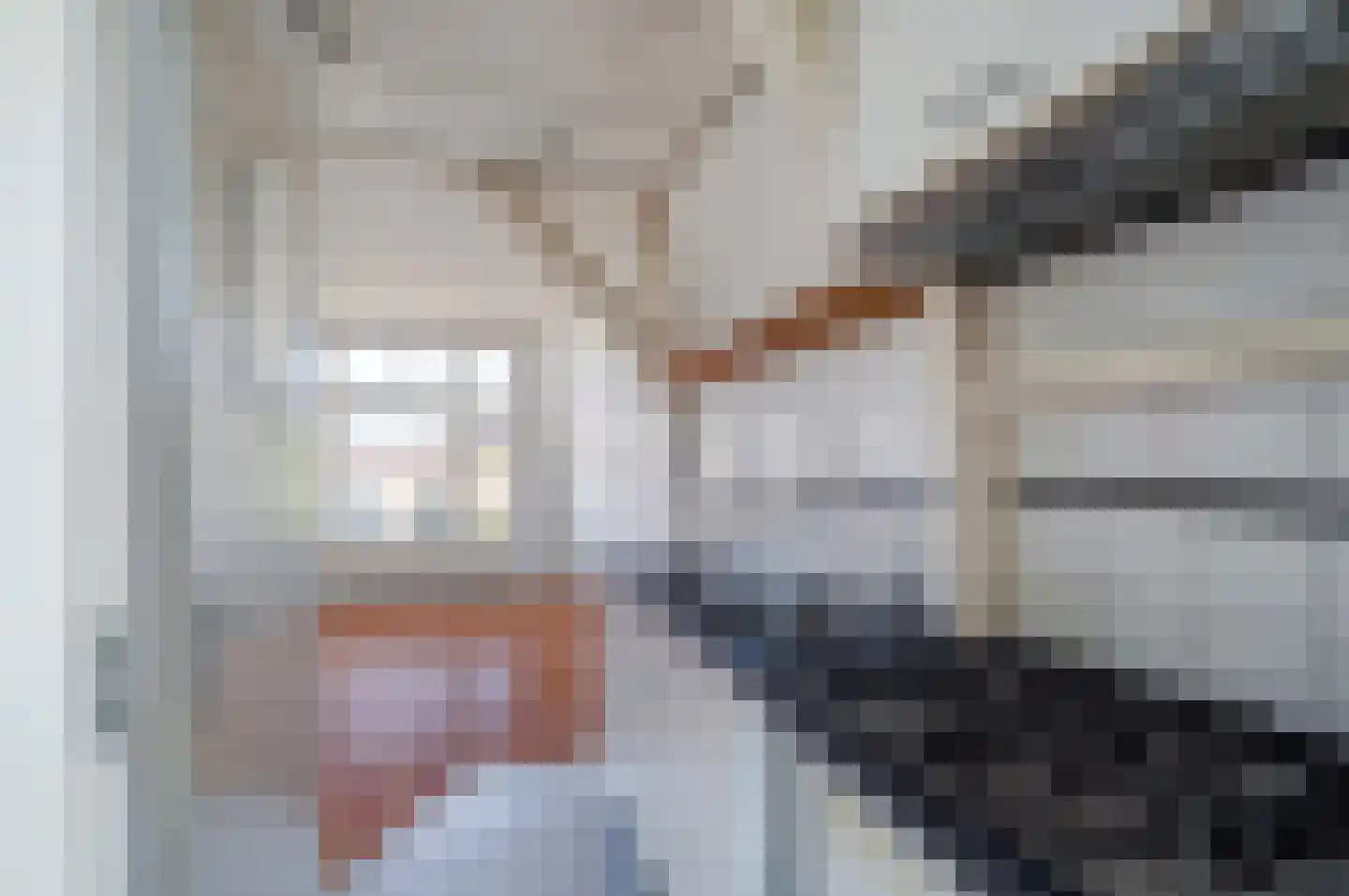 Lage Rijndijk 46 Leiden thumbnail 33