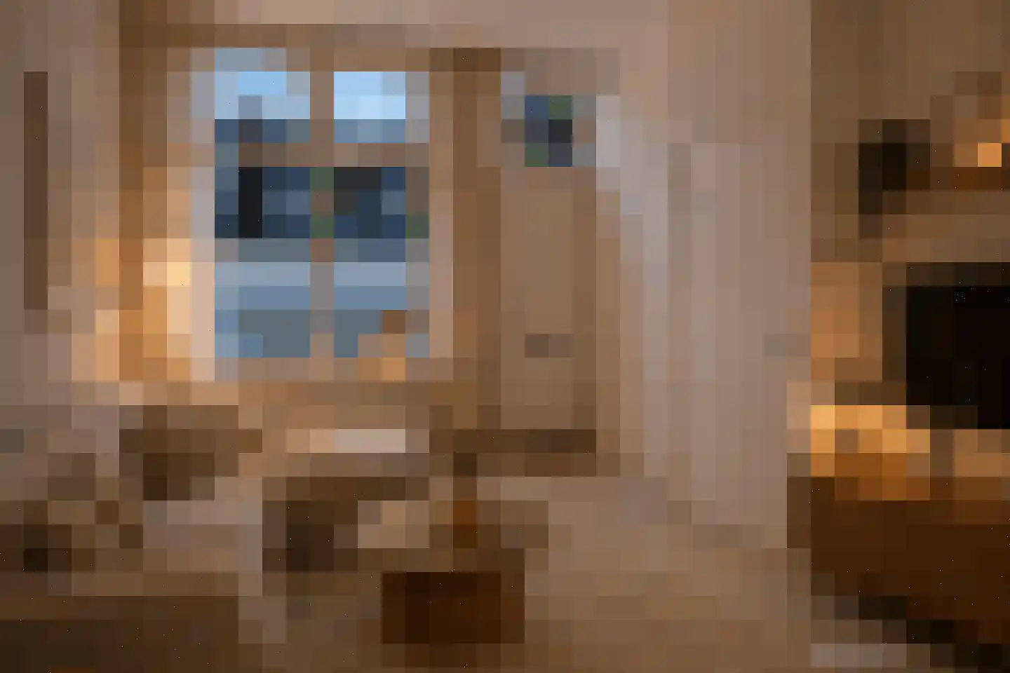 Lage Rijndijk 51 Leiden thumbnail 6
