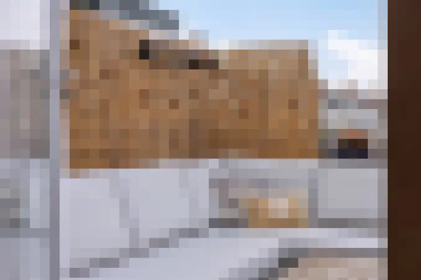 Lage Rijndijk 61 Leiden thumbnail 23