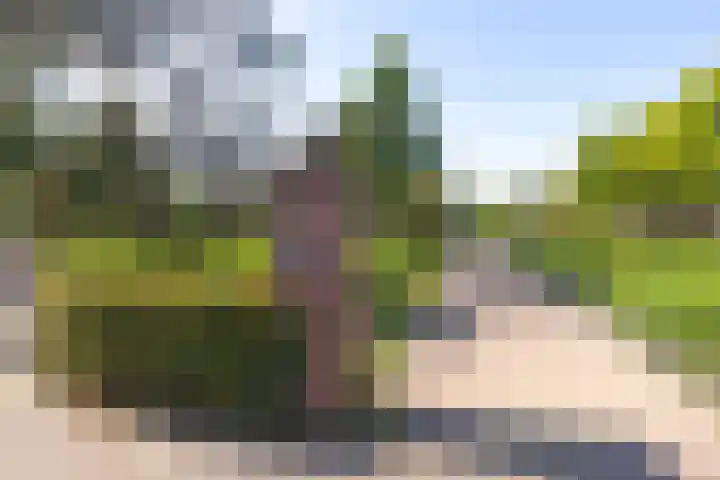 Lage Rijndijk 65 Leiden thumbnail 18