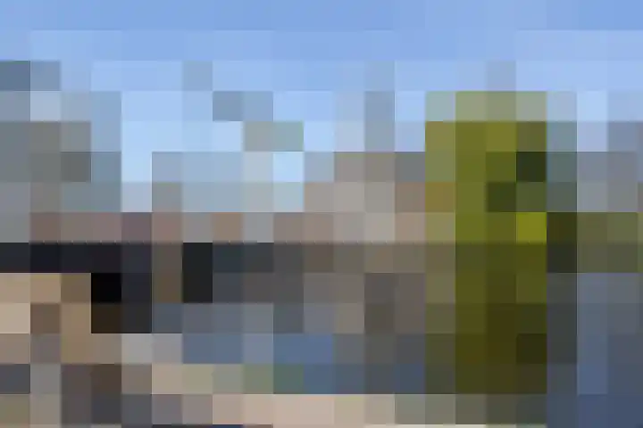 Lage Rijndijk 65 Leiden thumbnail 20
