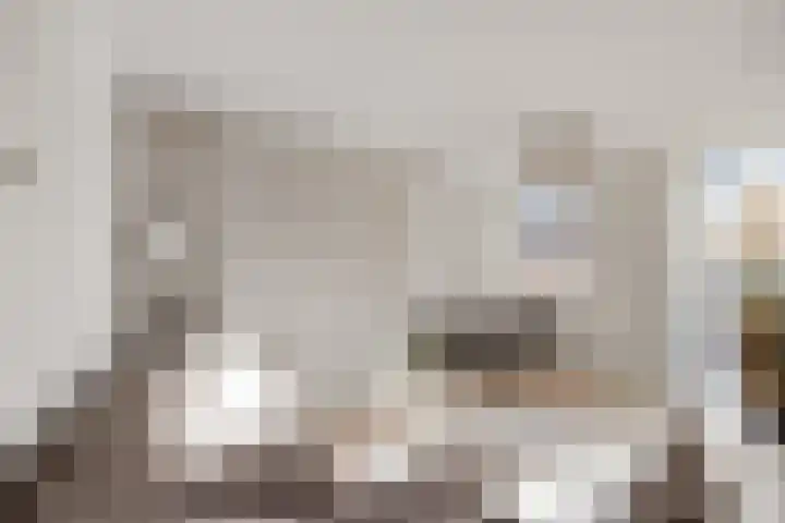 Lage Rijndijk 65 Leiden thumbnail 7