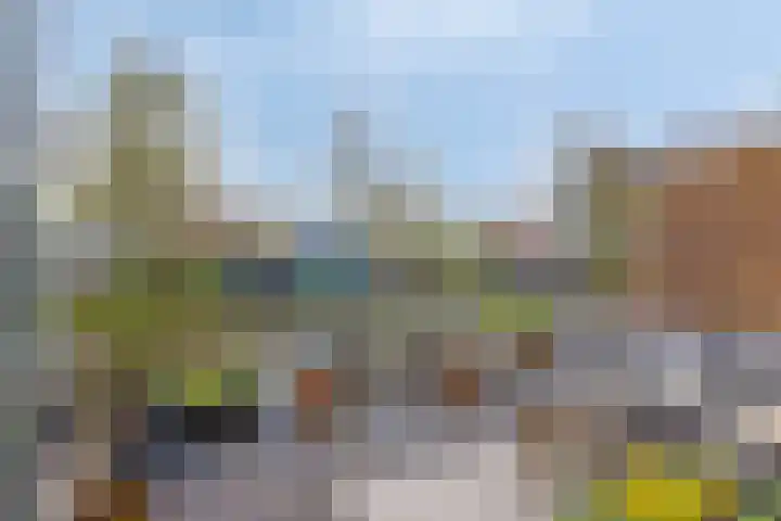 Lage Rijndijk 74 Leiden thumbnail 24