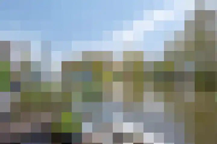 Lage Rijndijk 74 Leiden thumbnail 27