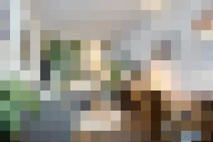 Lage Rijndijk 74 Leiden thumbnail 7