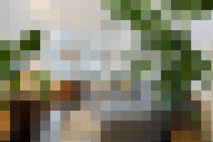 Lage Rijndijk 74 Leiden thumbnail 8