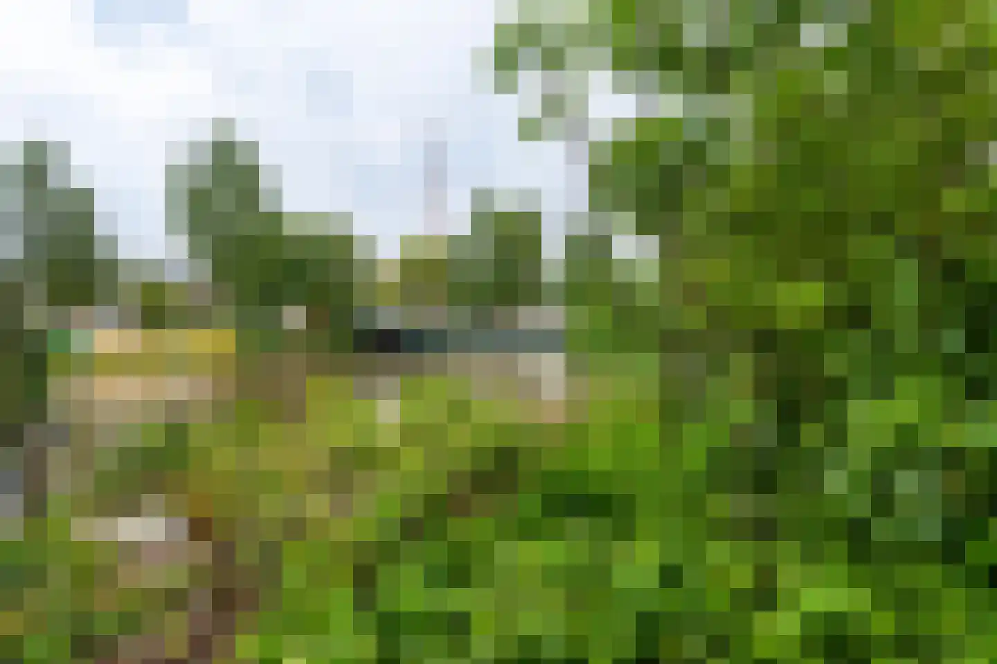 Lage Rijndijk 84 Leiden thumbnail 17