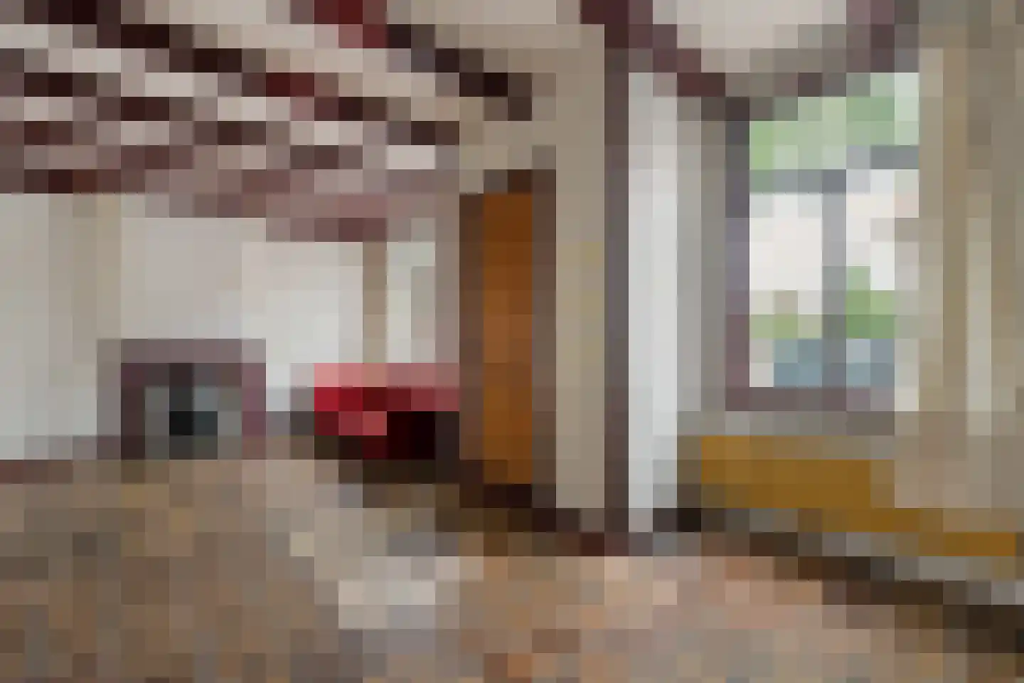 Lage Rijndijk 84 Leiden thumbnail 5