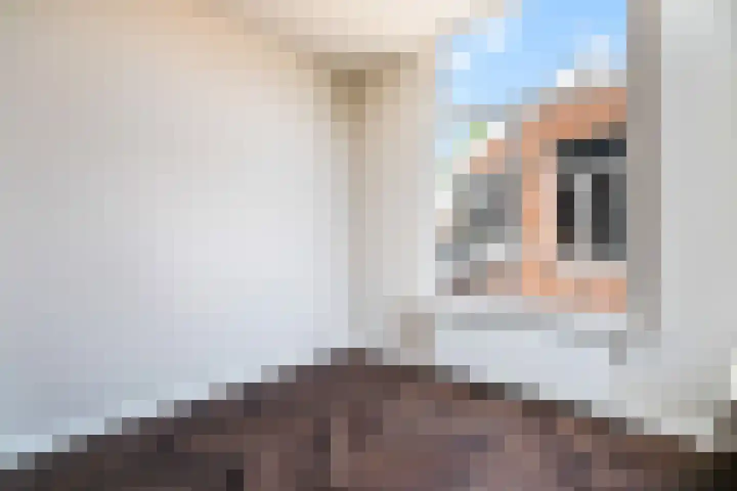 Lage Rijndijk 9 A Leiden thumbnail 15