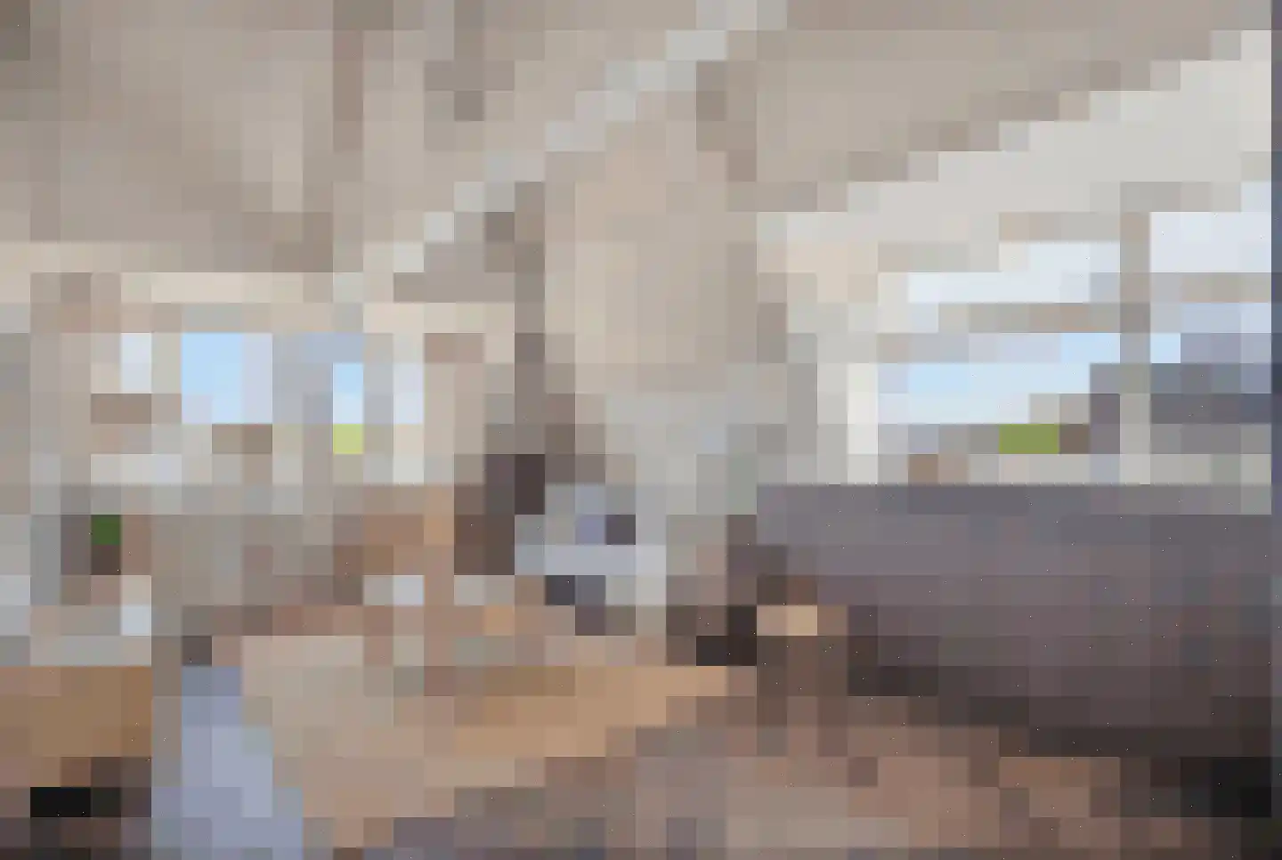 Lage Rijndijk 9 E Leiden thumbnail 6