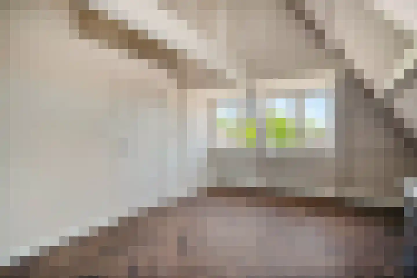 Lage Rijndijk 9 E Leiden thumbnail 9
