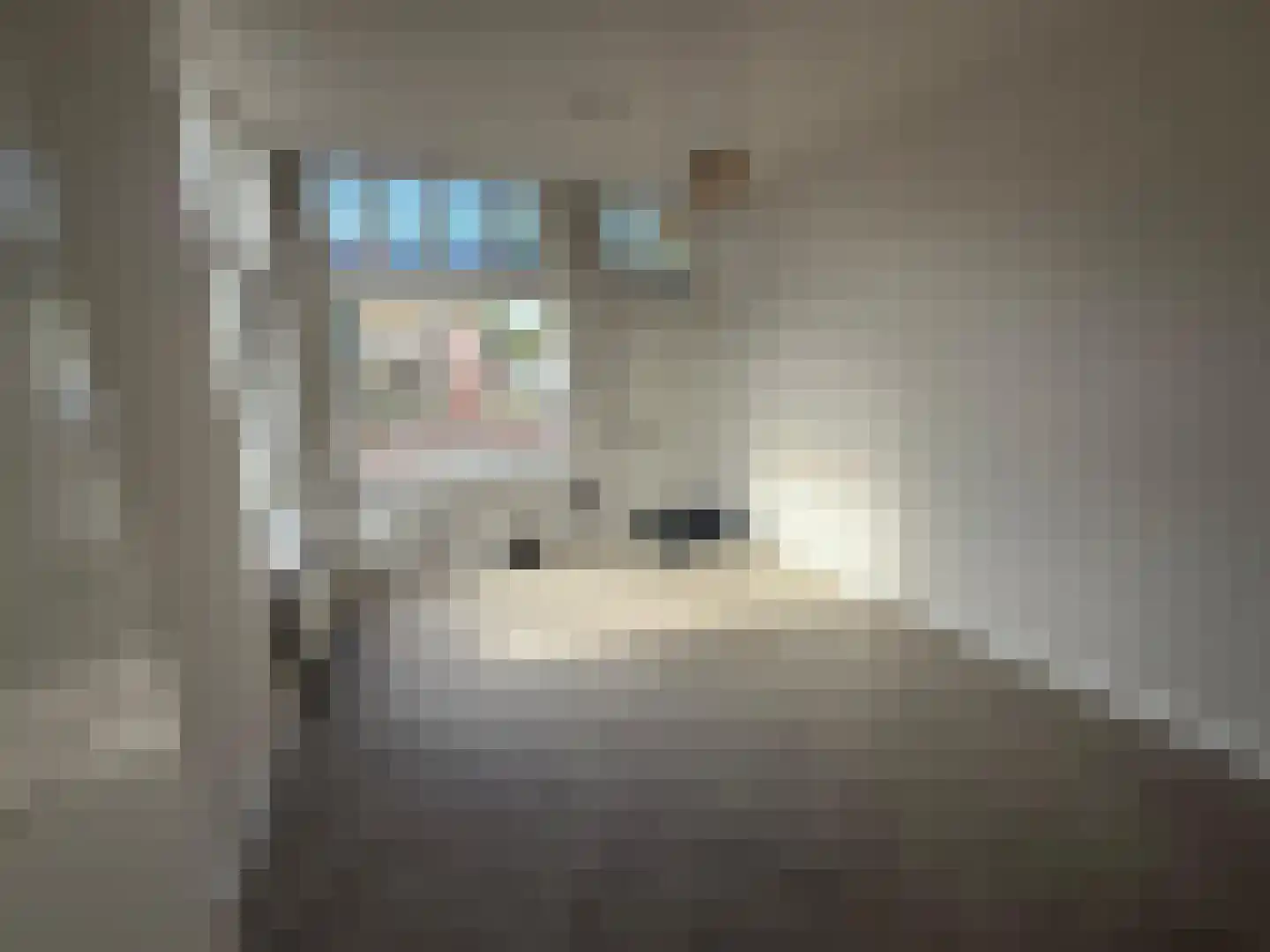 Lage Rijndijk 9 Leiden thumbnail 6