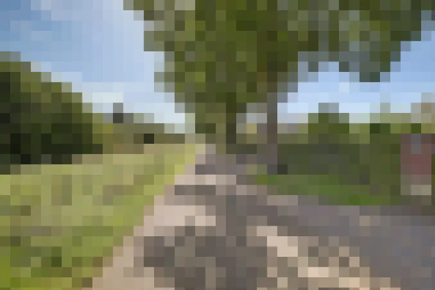 Lage Startwijk 10 Beugen thumbnail 16