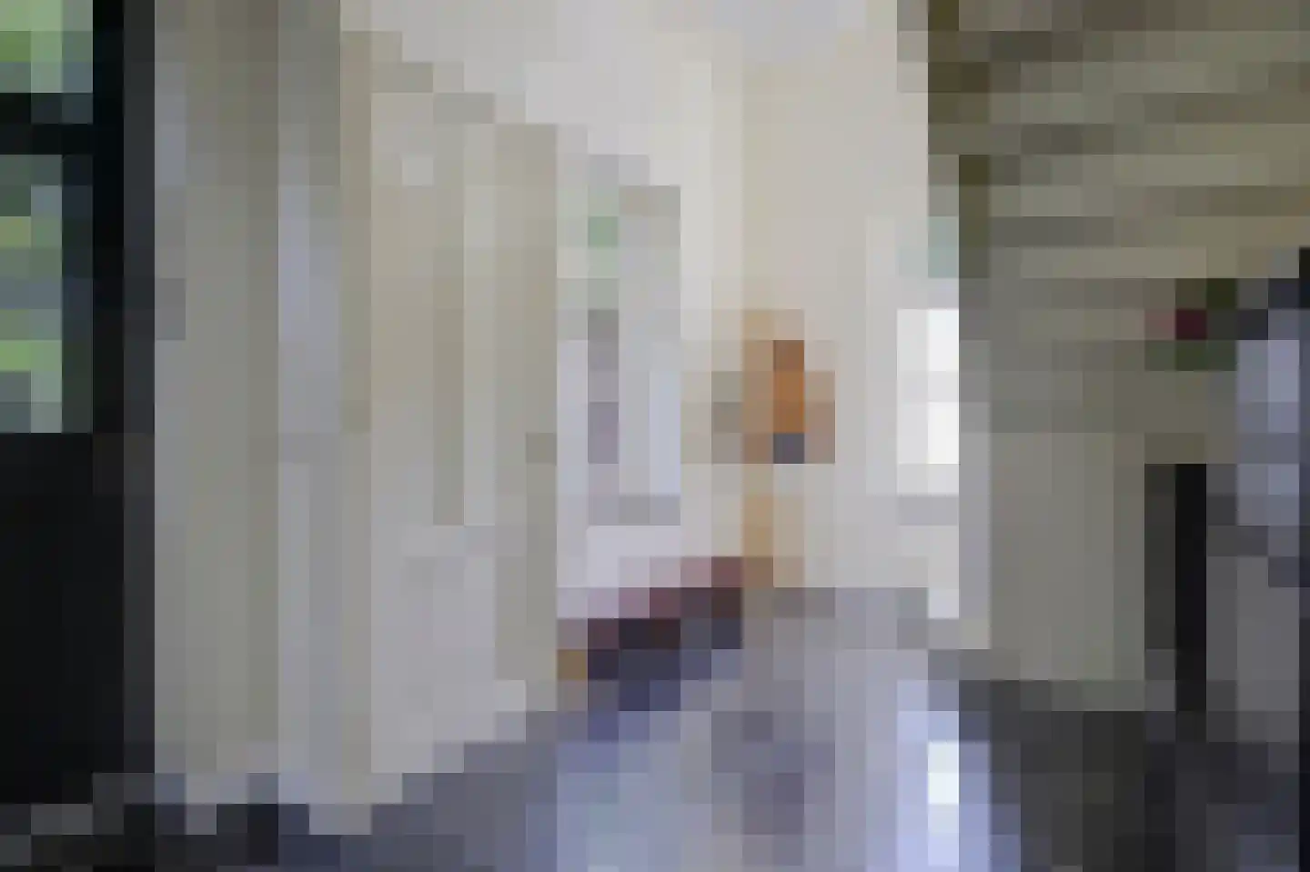Lage Startwijk 10 Beugen thumbnail 21