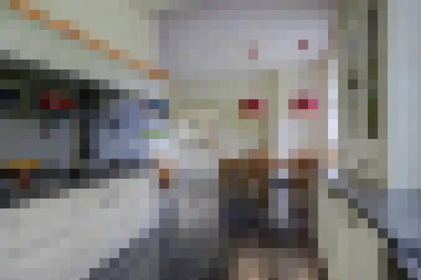 Lage Startwijk 10 Beugen thumbnail 30