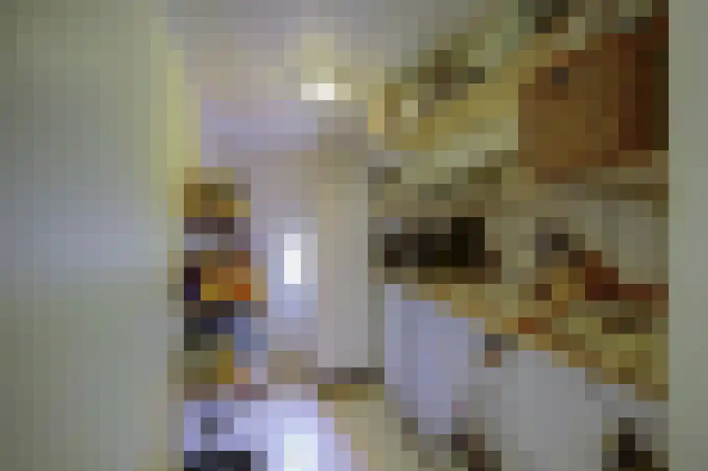 Lage Startwijk 10 Beugen thumbnail 43