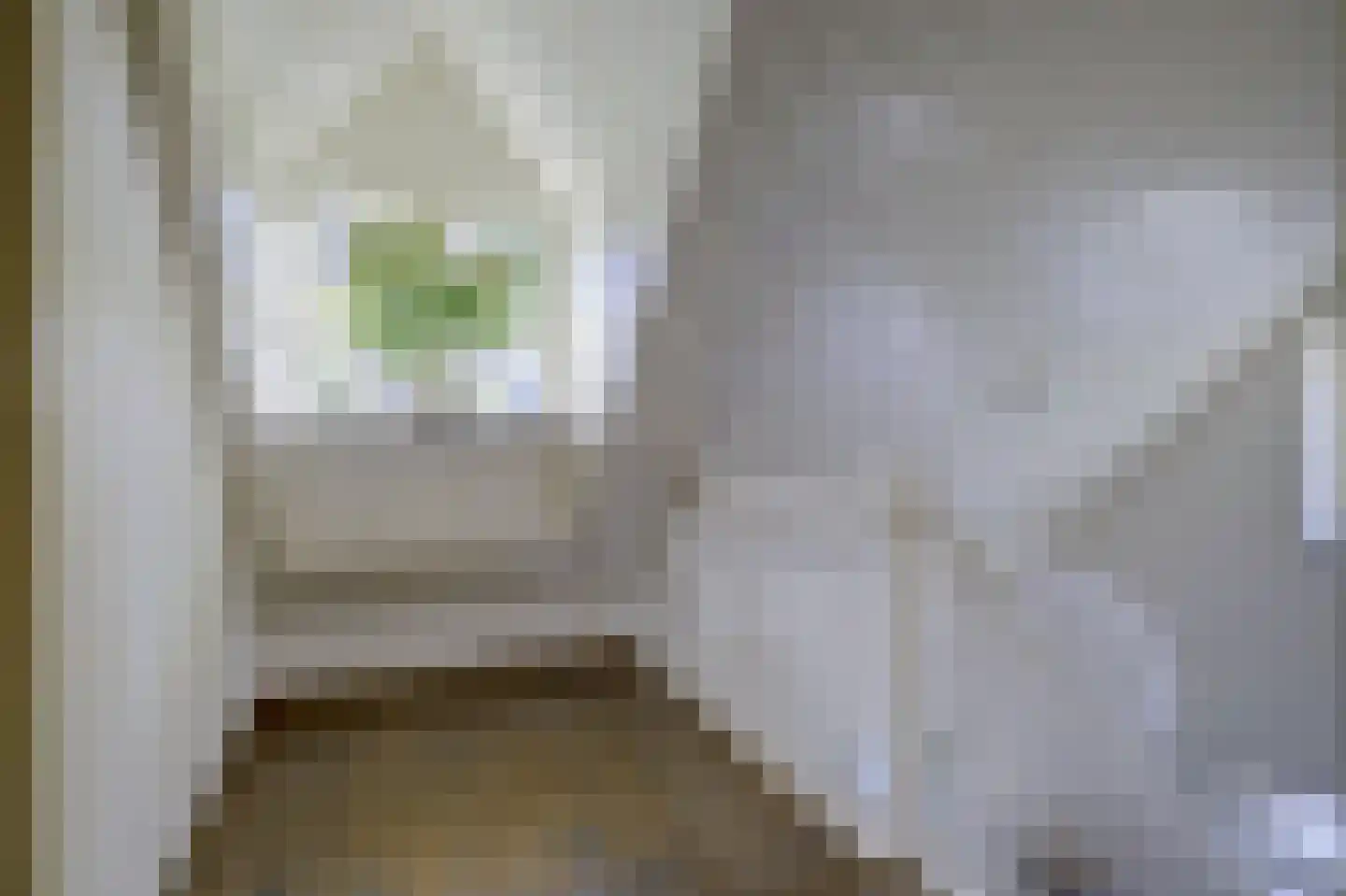 Lage Startwijk 10 Beugen thumbnail 44