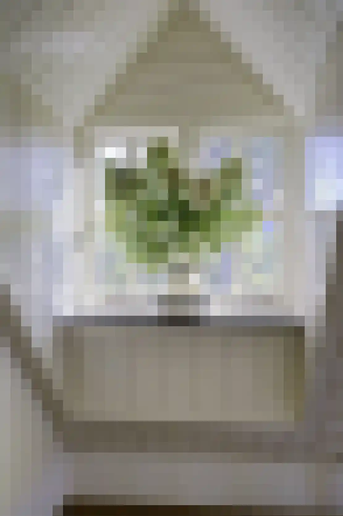 Lage Startwijk 10 Beugen thumbnail 45