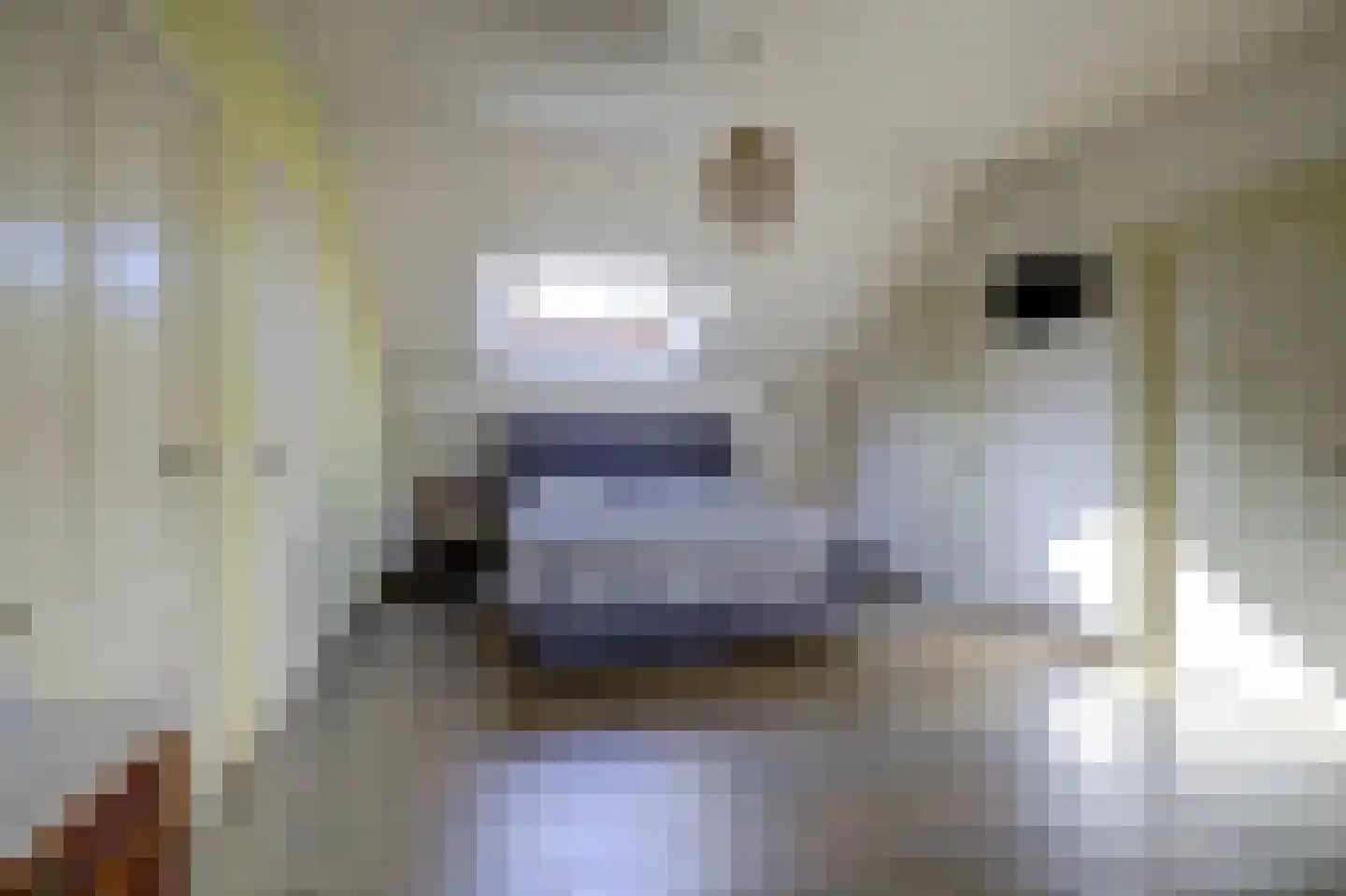 Lage Startwijk 10 Beugen thumbnail 6