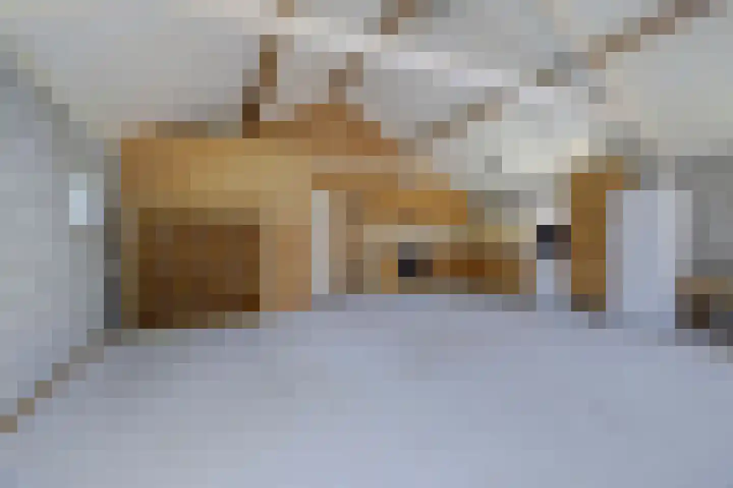 Lage Startwijk 10 Beugen thumbnail 61