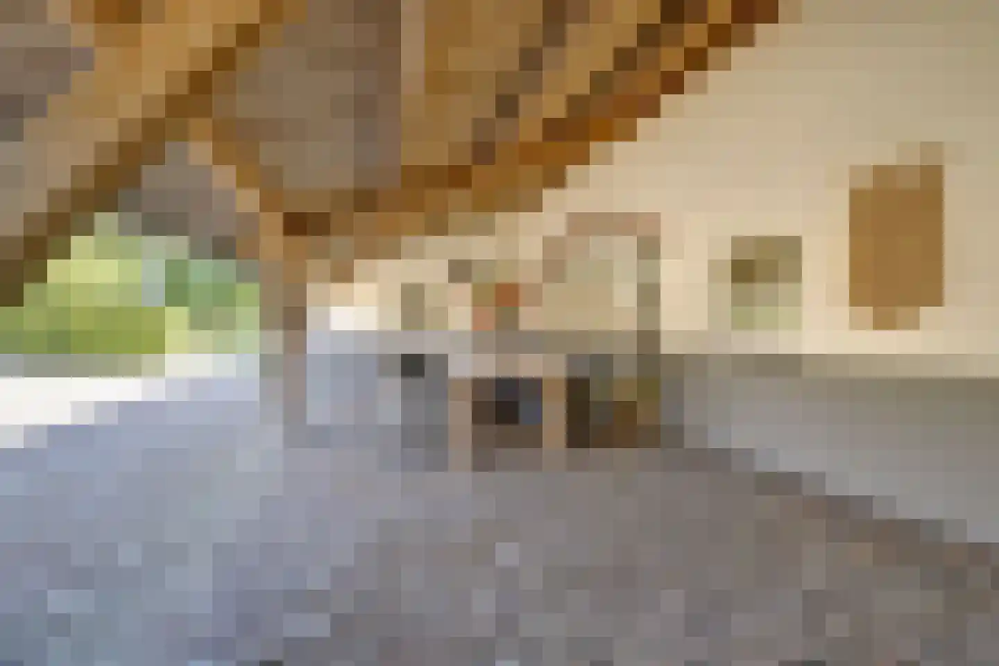 Lage Startwijk 10 Beugen thumbnail 64