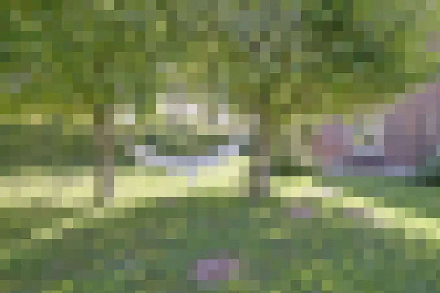Lage Startwijk 10 Beugen thumbnail 65