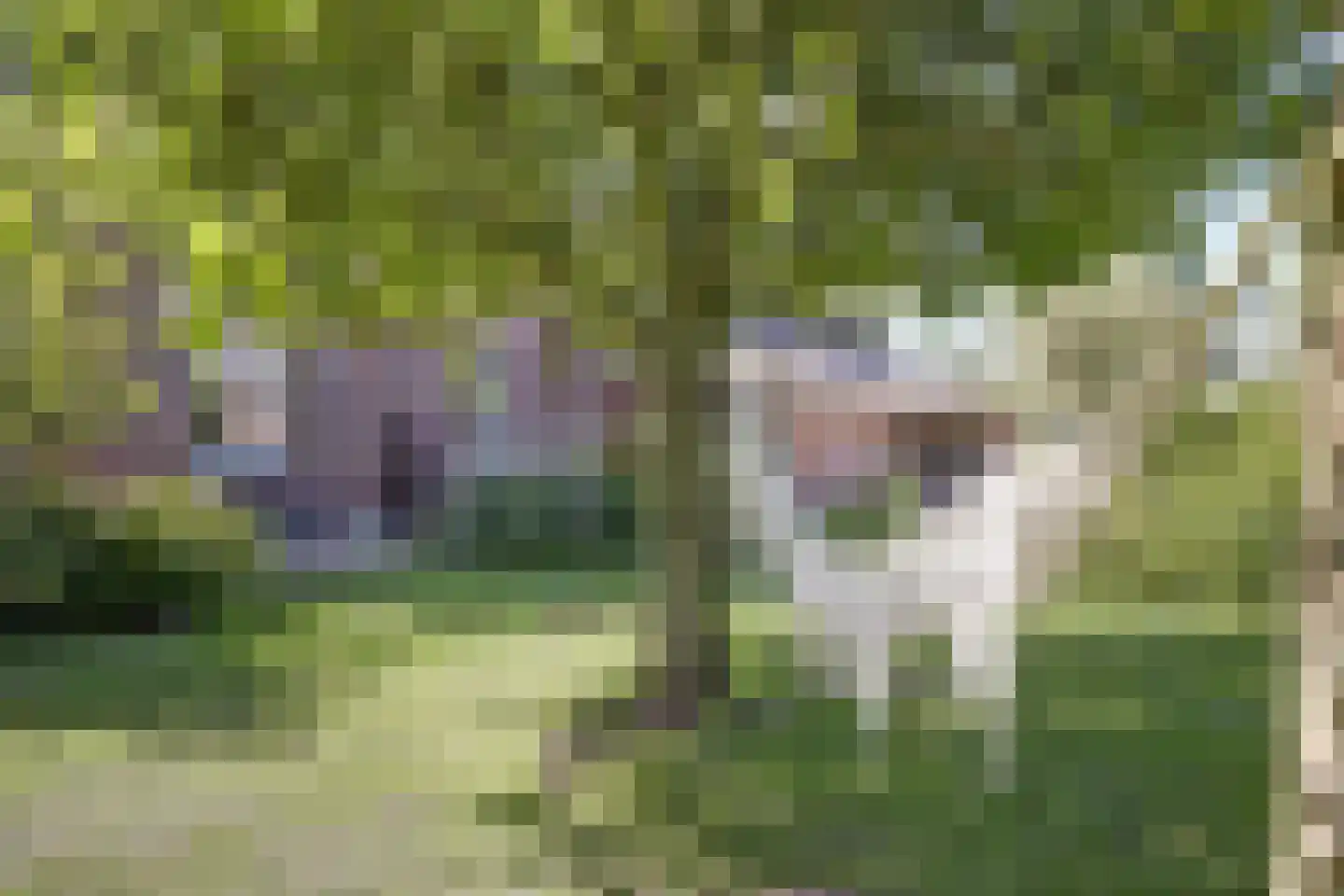 Lage Startwijk 10 Beugen thumbnail 66