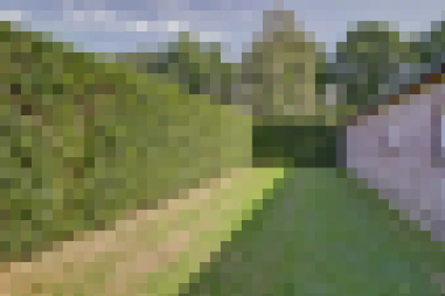 Lage Startwijk 10 Beugen thumbnail 78