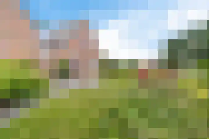 Lage Trijnweg 24 Spijk thumbnail 11