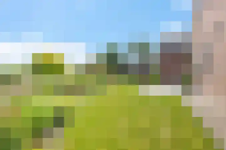 Lage Trijnweg 24 Spijk thumbnail 12