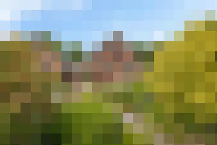 Lage Trijnweg 24 Spijk thumbnail 13
