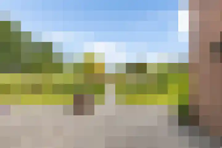 Lage Trijnweg 24 Spijk thumbnail 14