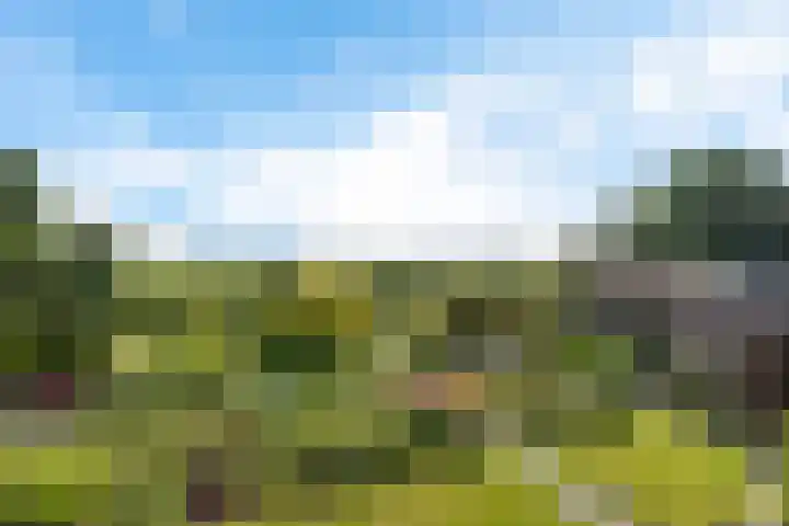 Lage Trijnweg 24 Spijk thumbnail 15