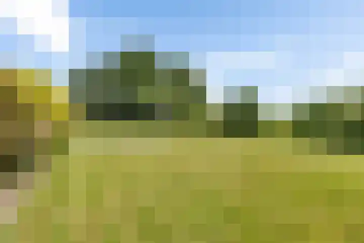 Lage Trijnweg 24 Spijk thumbnail 16