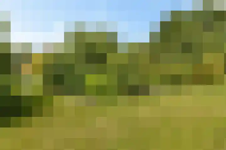 Lage Trijnweg 24 Spijk thumbnail 17