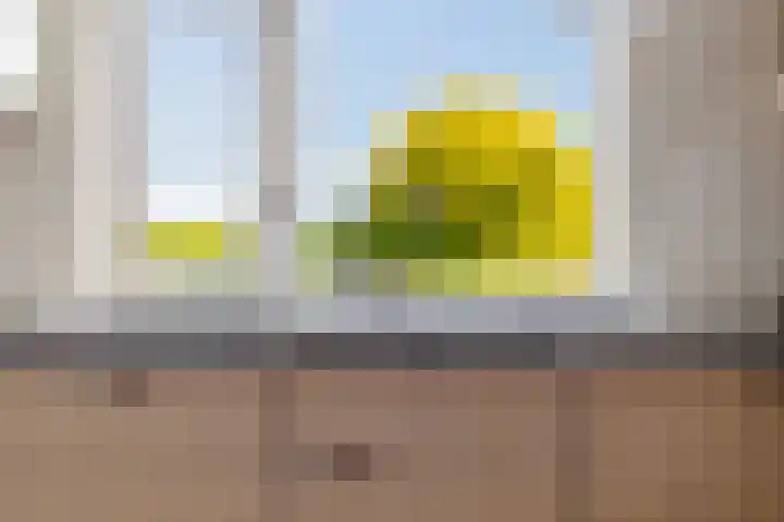 Lage Trijnweg 24 Spijk thumbnail 32