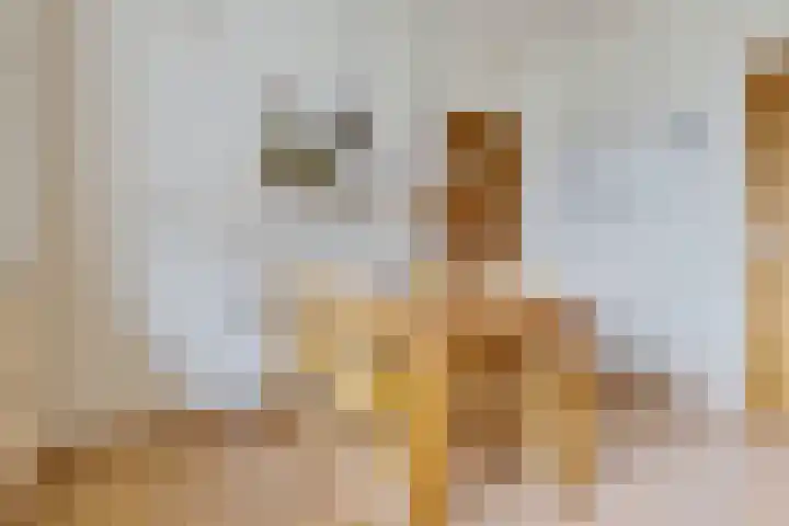 Lage Trijnweg 24 Spijk thumbnail 33