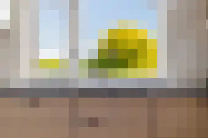 Lage Trijnweg 24 Spijk thumbnail 5