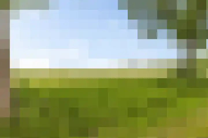 Lage Trijnweg 24 Spijk thumbnail 6
