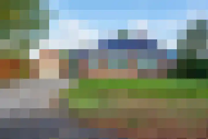 Lage Trijnweg 28 Spijk thumbnail 10