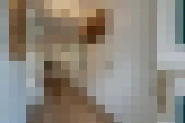 Lage Trijnweg 28 Spijk thumbnail 17