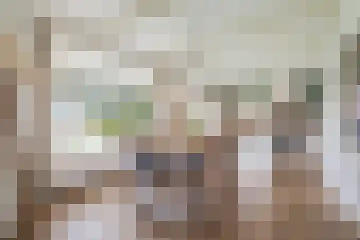 Lage Trijnweg 28 Spijk thumbnail 24
