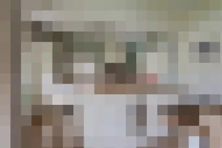 Lage Trijnweg 28 Spijk thumbnail 26