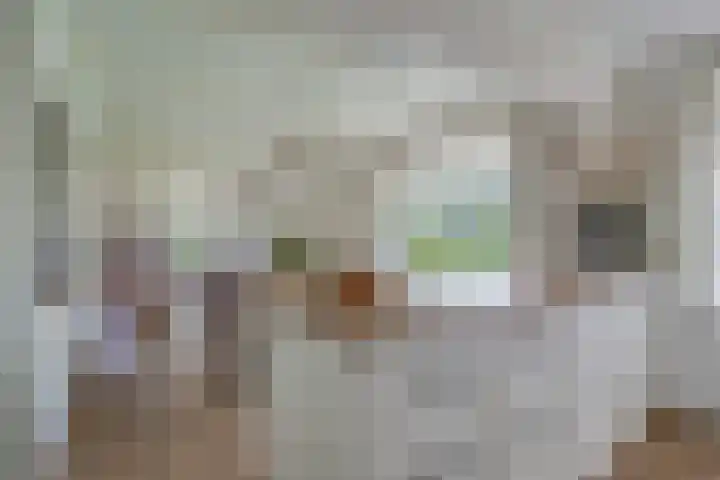 Lage Trijnweg 28 Spijk thumbnail 28