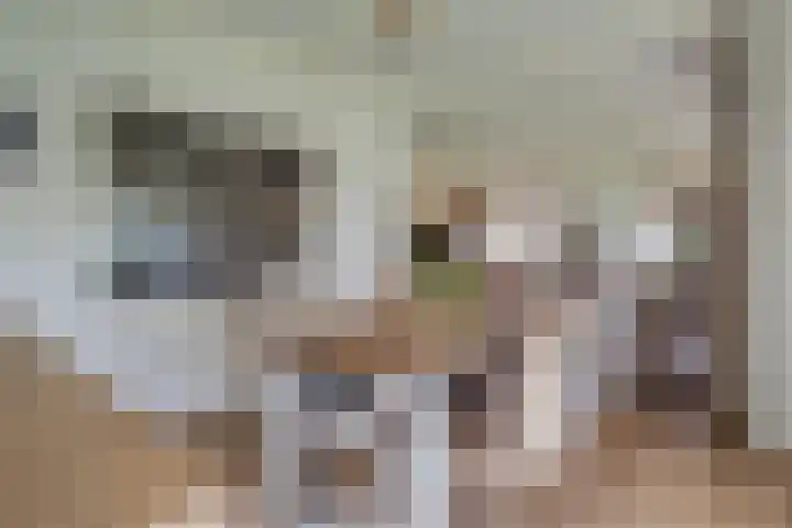 Lage Trijnweg 28 Spijk thumbnail 29