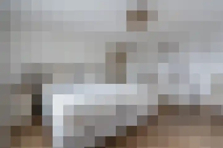 Lage Trijnweg 28 Spijk thumbnail 33